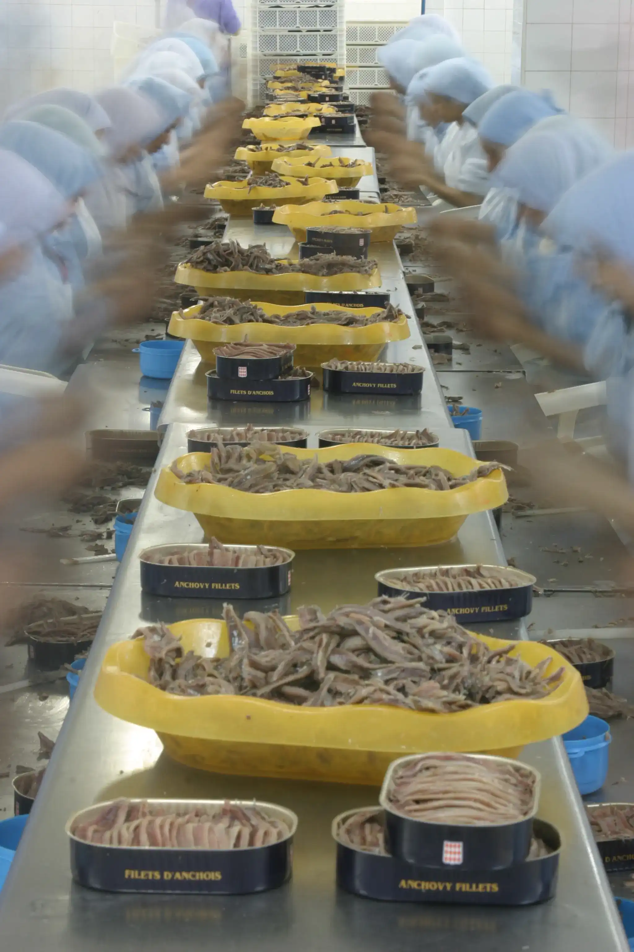 Transformation et valeur ajoutée produits de la mer - Technologie seafood